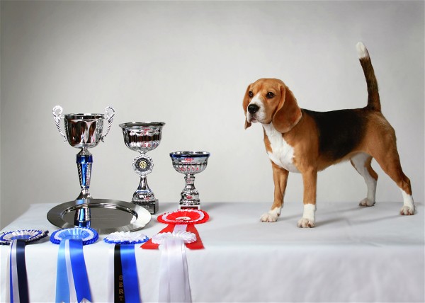 copyright: Riitta Oksman / Foto-Oksman